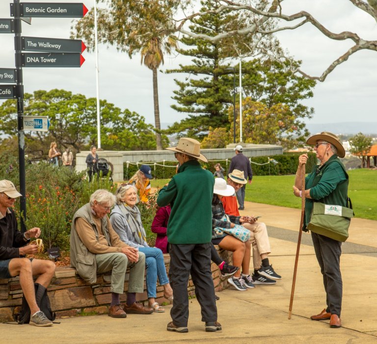 A walking tour group sit on the ledge surrounding some plants at Kings Park