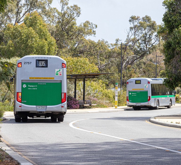 Buses dropping off guests at Kings Park Botanical Gardens