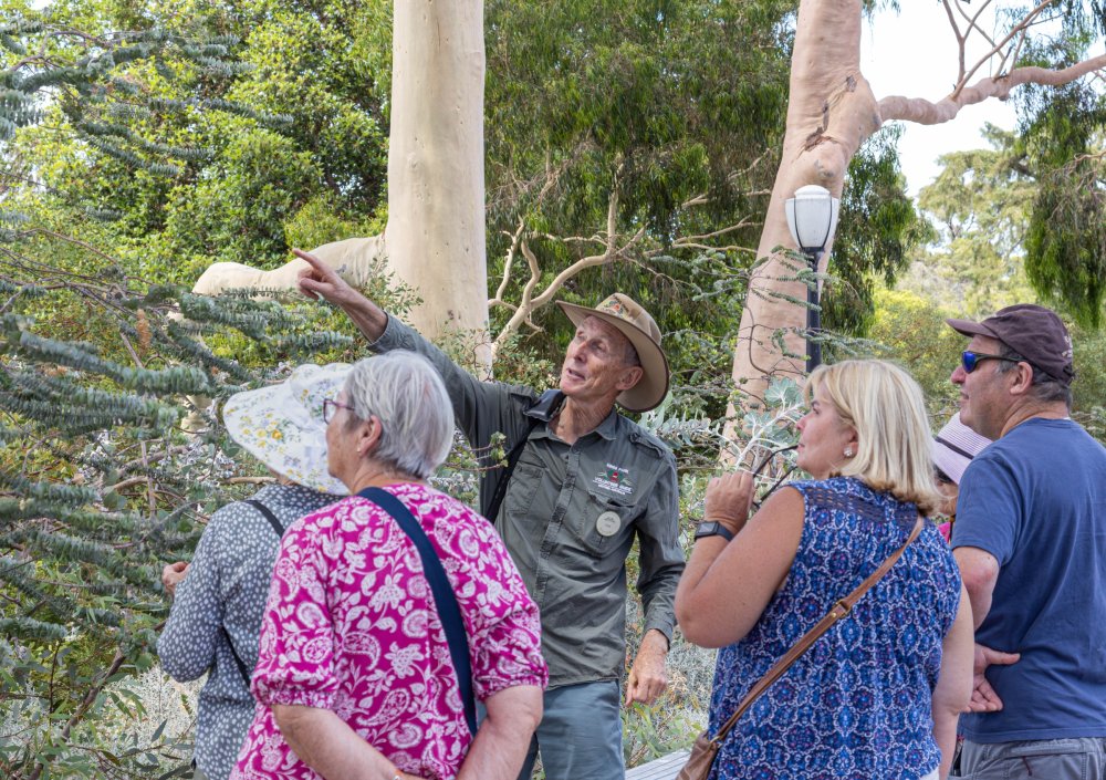 Tim giving a guided tour and pointing at something in the distance