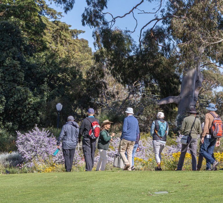 guests talking to a guide on a nature trail walk