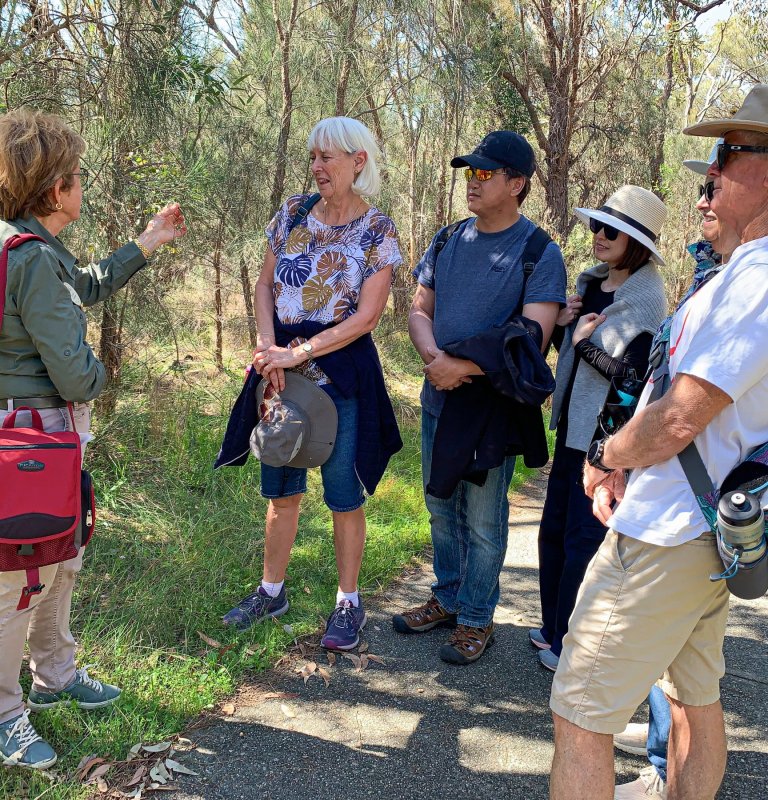 guests talking to a guide (Rachel) on a nature trail walk