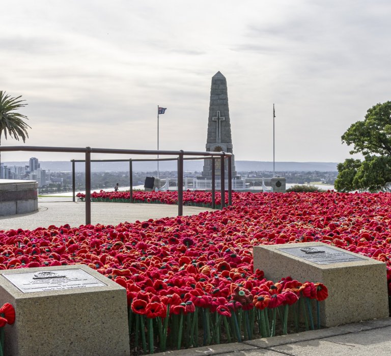 Observe ANZAC Day in Kings Park Image