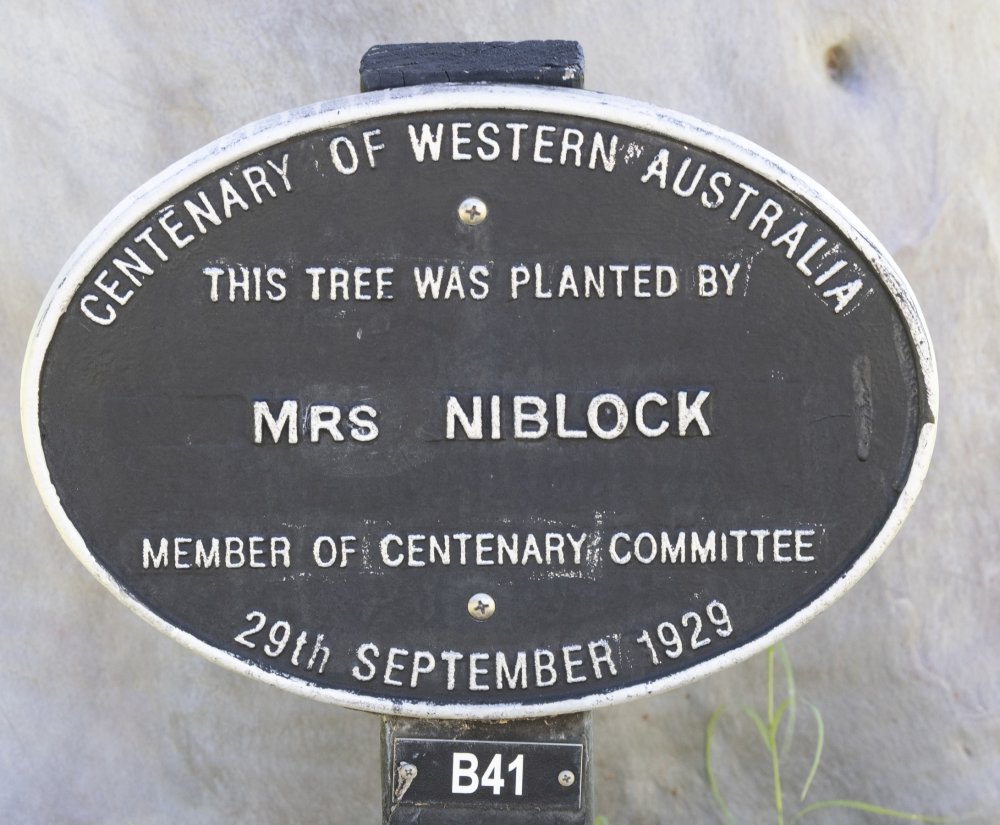 Women Who Chose to Challenge Image