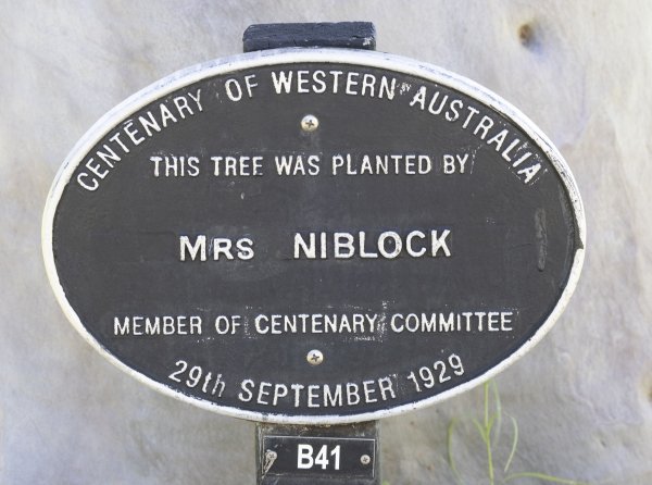 Women Who Chose to Challenge Image