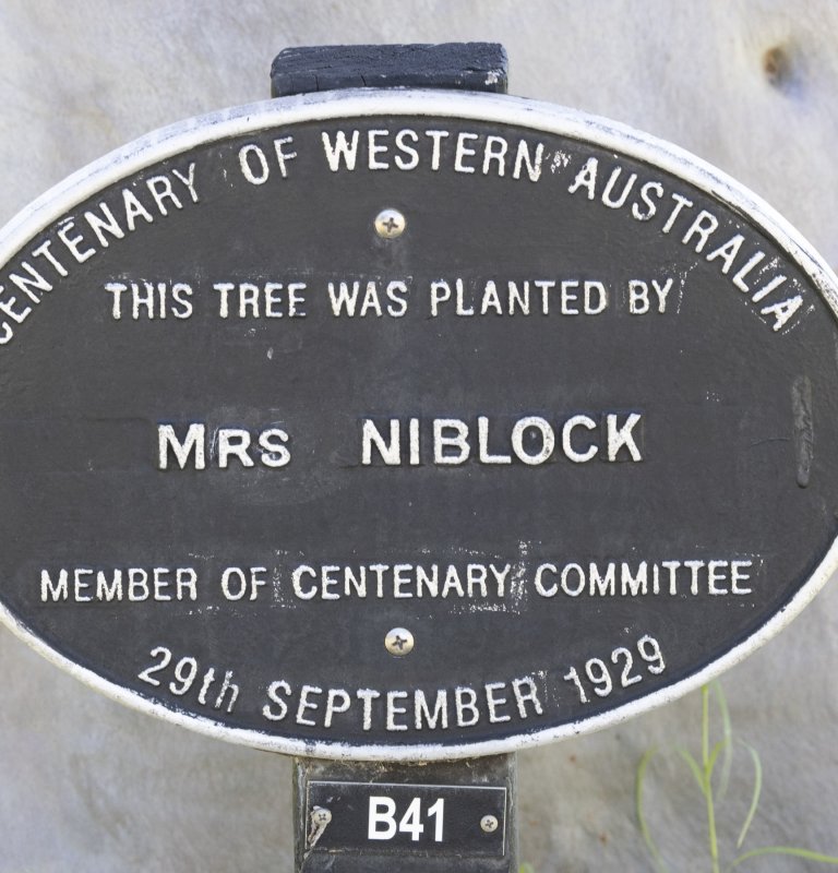 Women Who Chose to Challenge Image