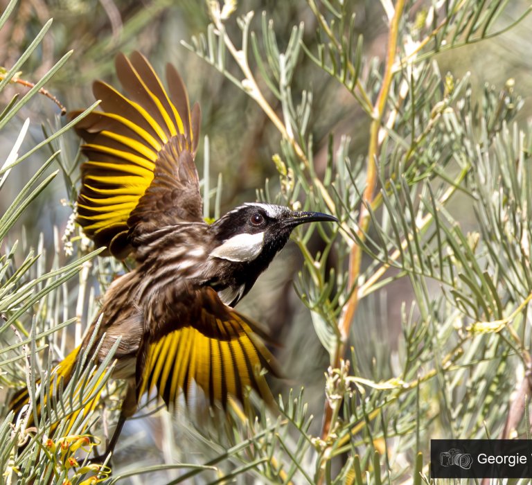 Walk Highlights image