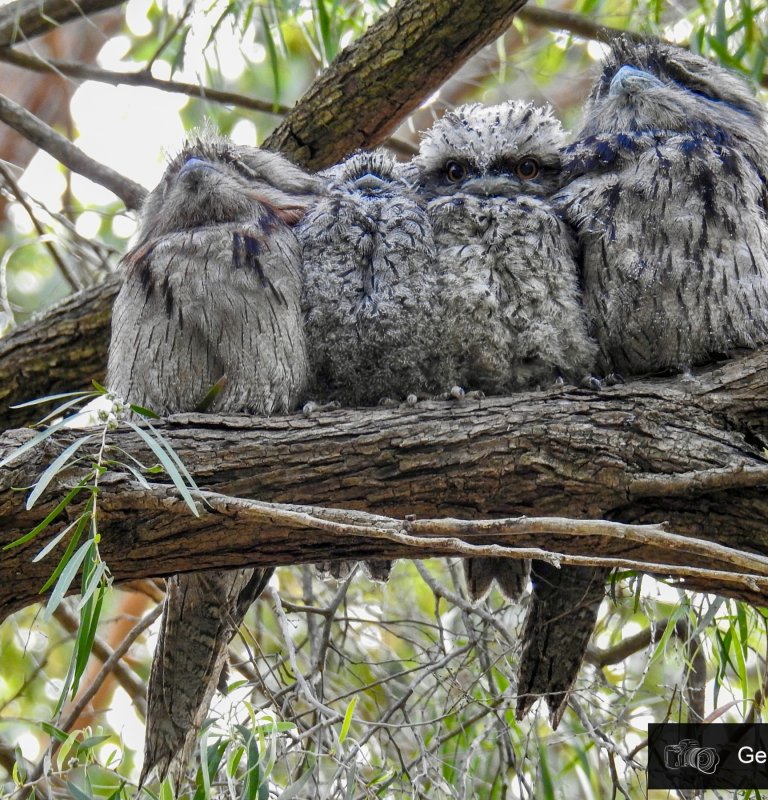 Explore the highlights of Kings Park with our Guides Image