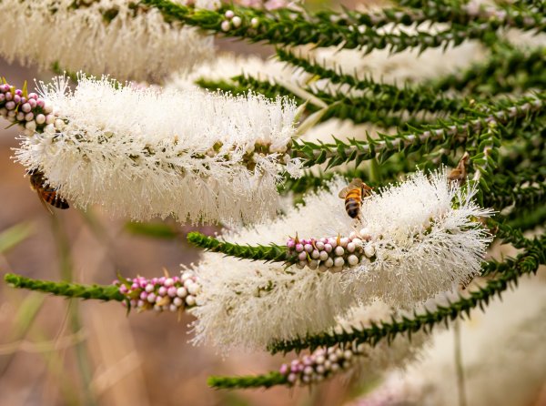Discover Kings Park Image