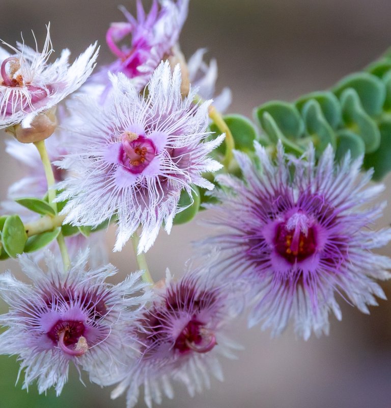 This Valentines Day why not visit the ‘Turner of Hearts’? Image