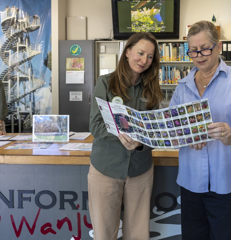 A Kings Park Volunteer Guide shows a wildflower brochure to a member of the public.