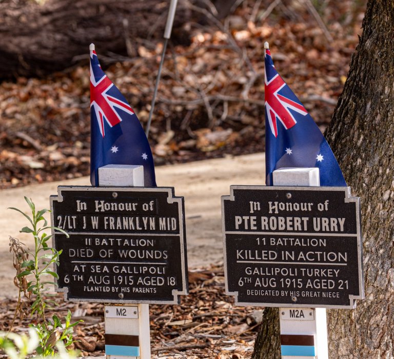 Observe ANZAC Day in Kings Park Image