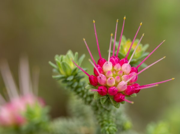 Discover Kings Park Image