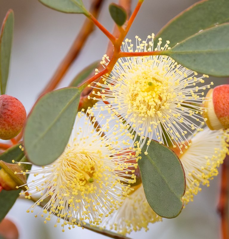 Seasonal Walks Image