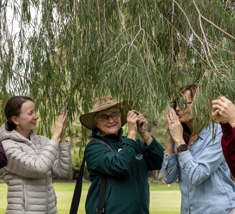Everlasting Kings Park Festival launches today! Image