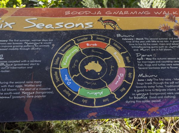 Visit Kings Park this NAIDOC Week! Image
