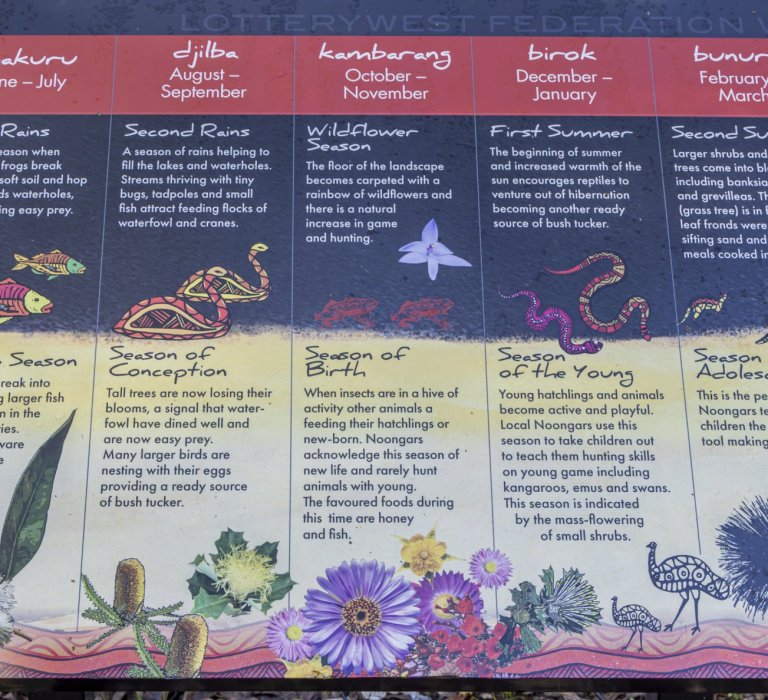 Visit Kings Park this NAIDOC Week! Image
