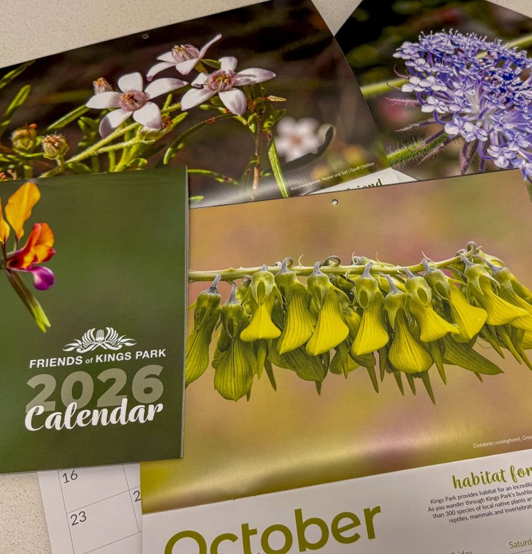 Friends of Kings Park 2026 calendar now available Image