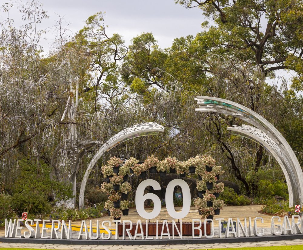 Discover Kings Park Image