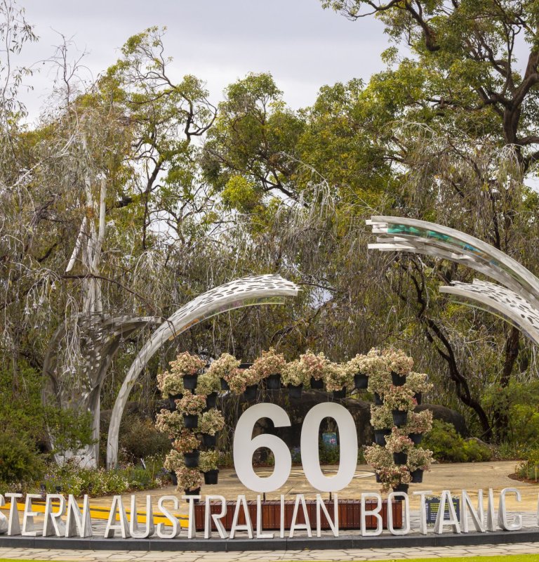 Discover Kings Park Image