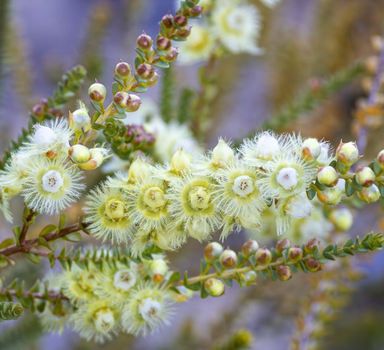 This Valentines Day why not visit the ‘Turner of Hearts’? Image