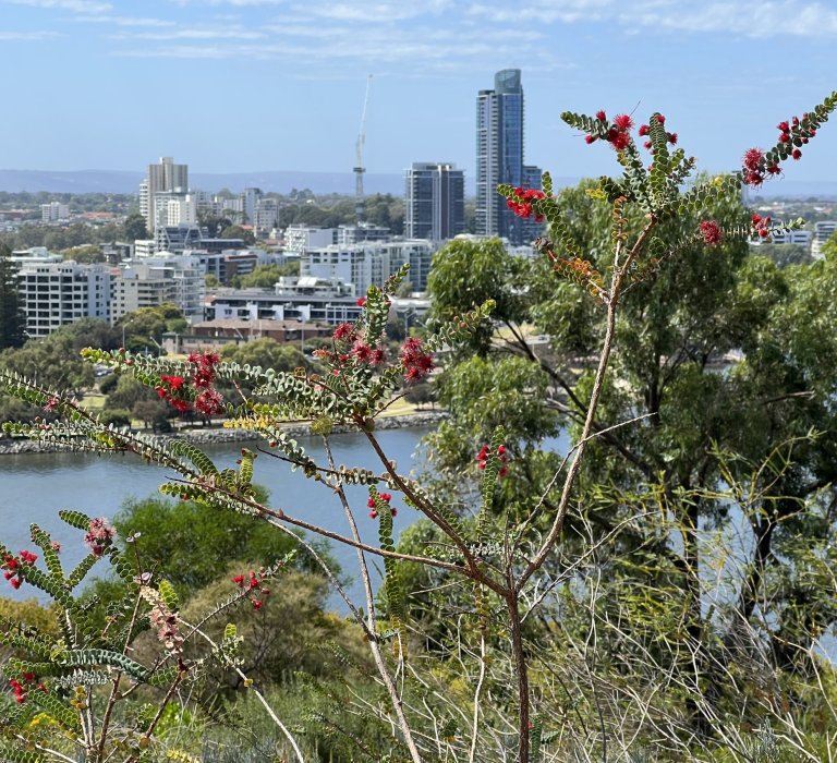 This Valentines Day why not visit the ‘Turner of Hearts’? Image