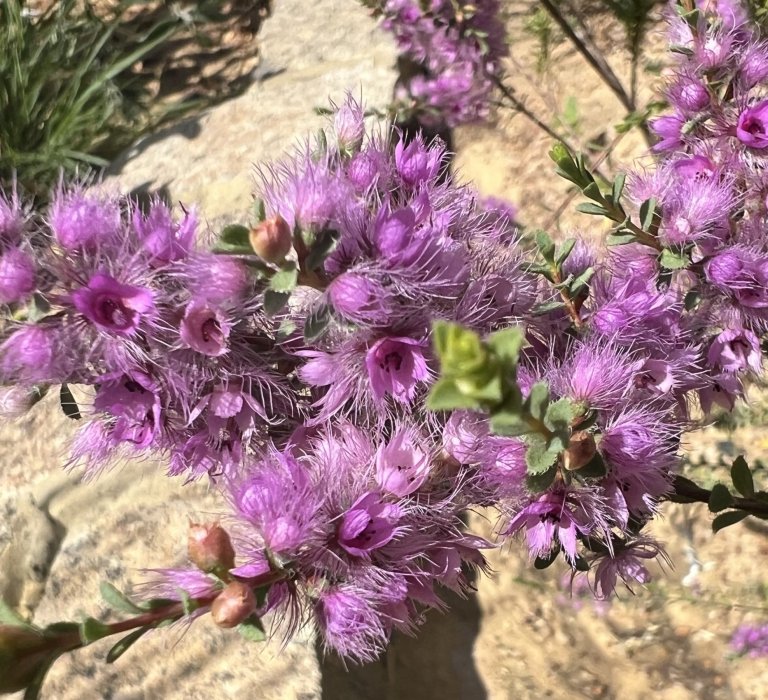 This Valentines Day why not visit the ‘Turner of Hearts’? Image