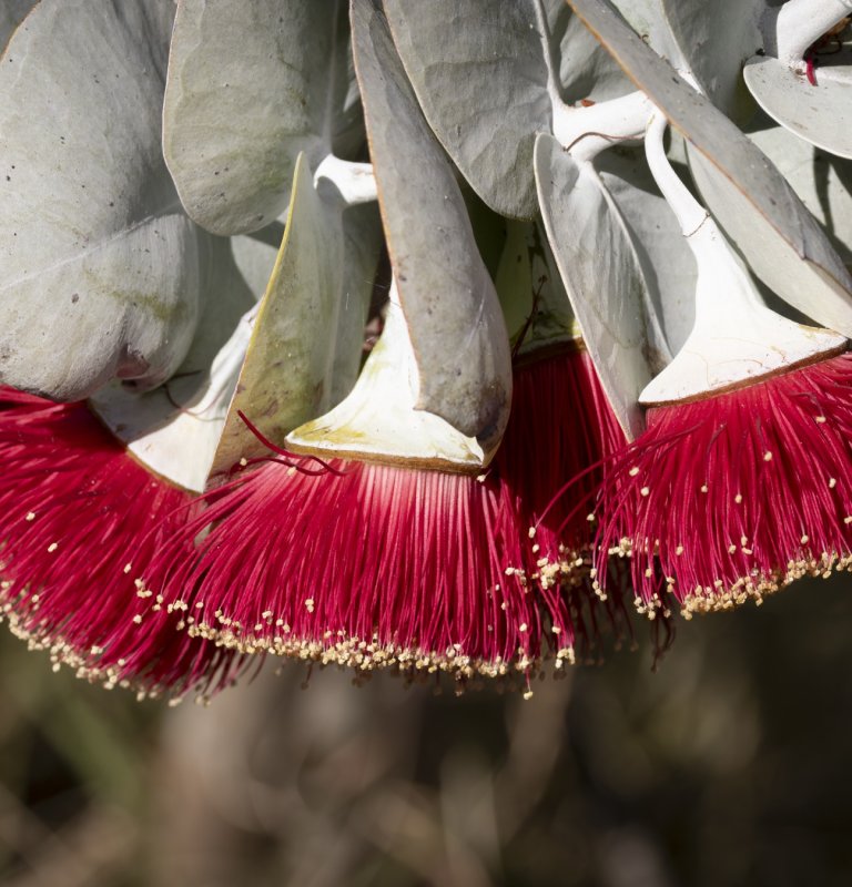 Join Our Guided Walks Image