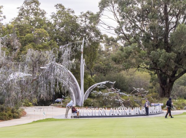 Discover Kings Park Image