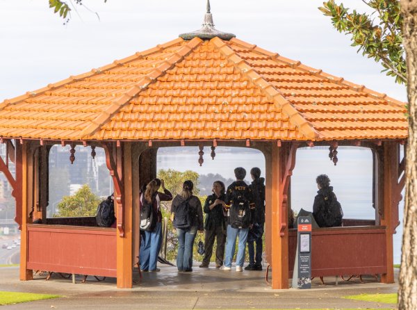 Features Image