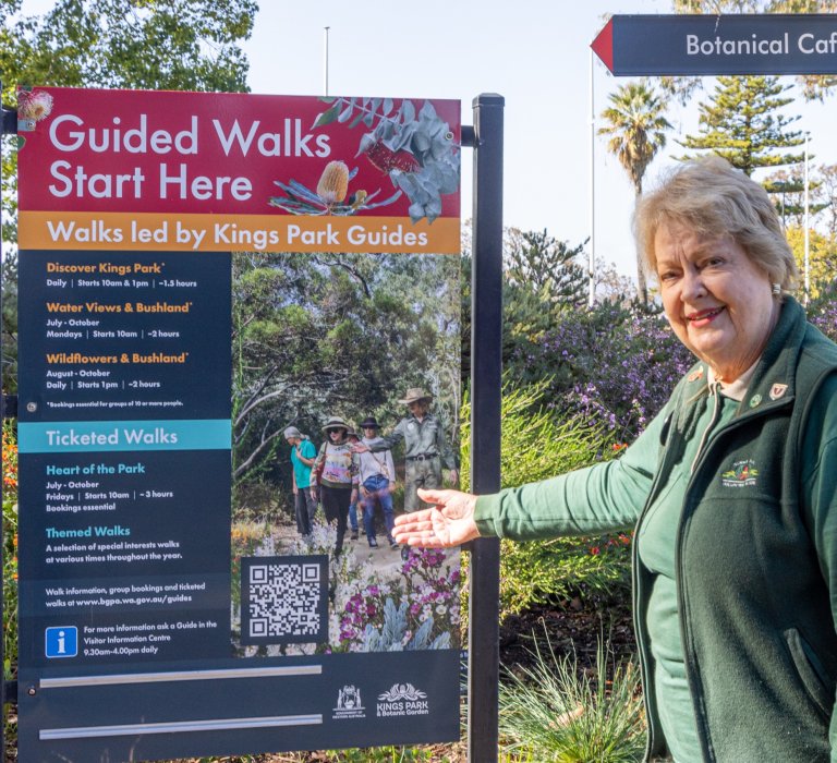 Celebrate Western Australia’s unique wildflowers this Spring Image